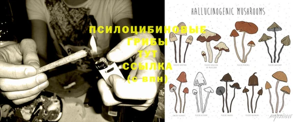 дмт Алексин