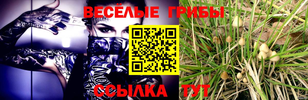 Воткинск  Галлюциногенные грибы Magic Shrooms  Вход с VPN  Галлюциногенные грибы прущие грибы 