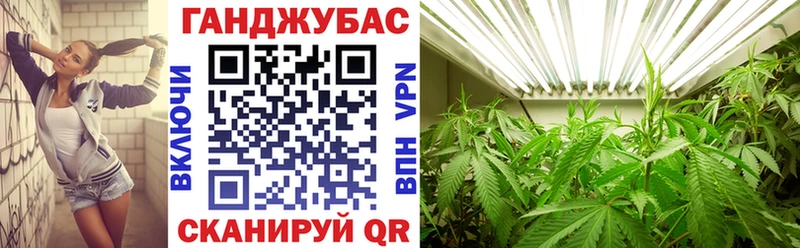 Канабис THC 21%  маркетплейс какой сайт  Воткинск 